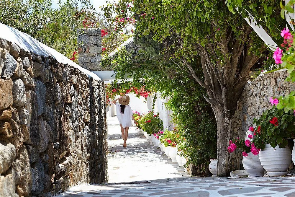 Seaside Cottage By Belvedere Mykonos Town